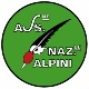 Logo associazione Associazione Nazionale Alpini Sezione di Bergamo. Gruppo Sedrina - Botta